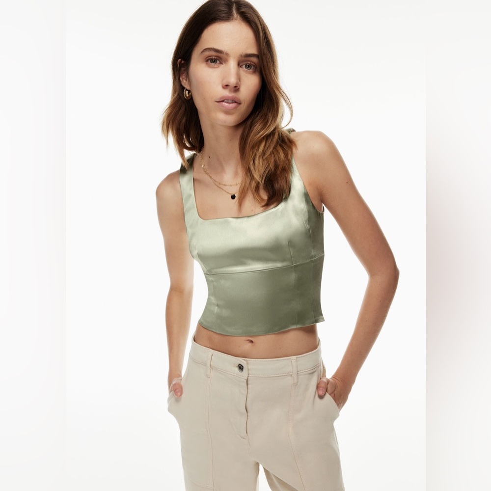Aritzia Shine Bustier